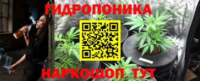 Альфа ПВП Гагарин